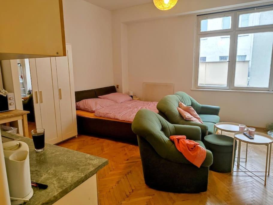Cosy Warm Apartment In The Heart Of Prague. Praga Exterior foto